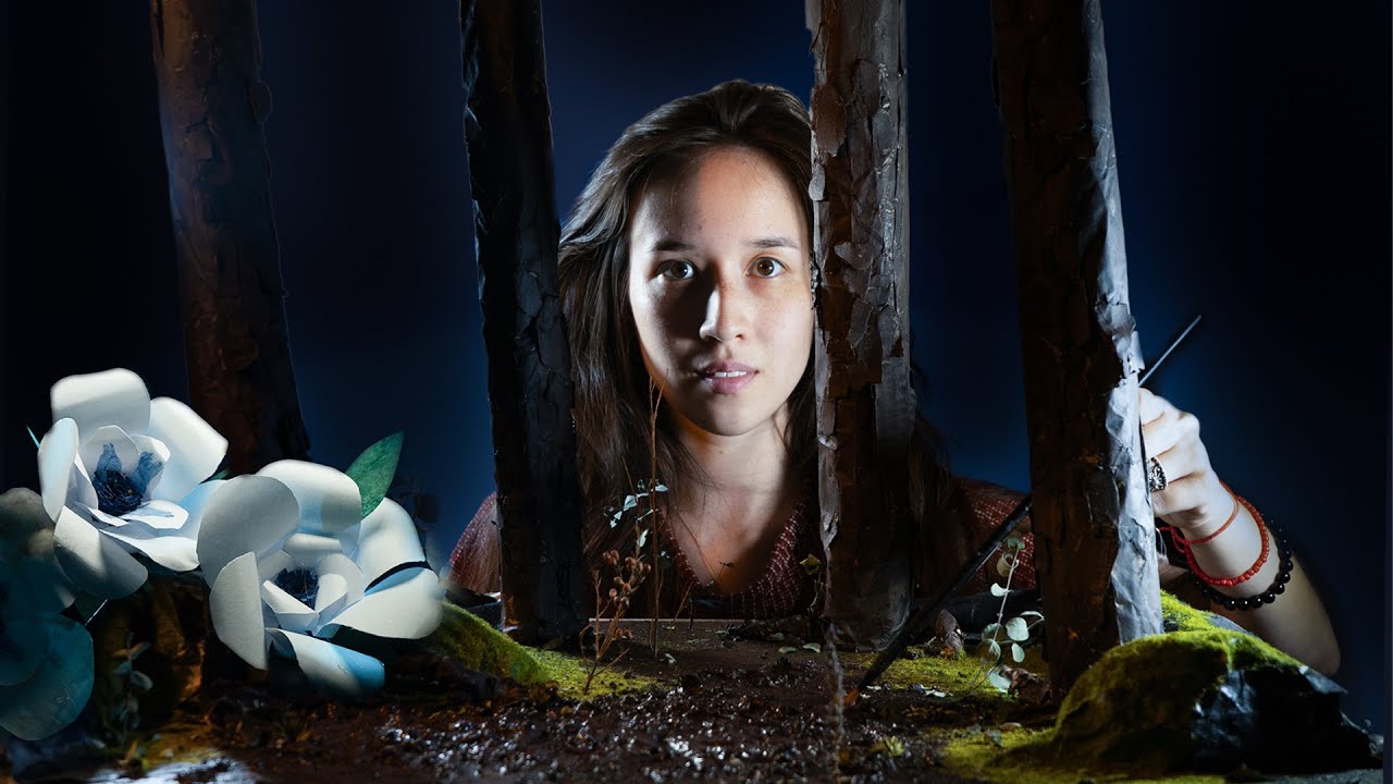 Stop motion set : Making a forest at night and chatting !