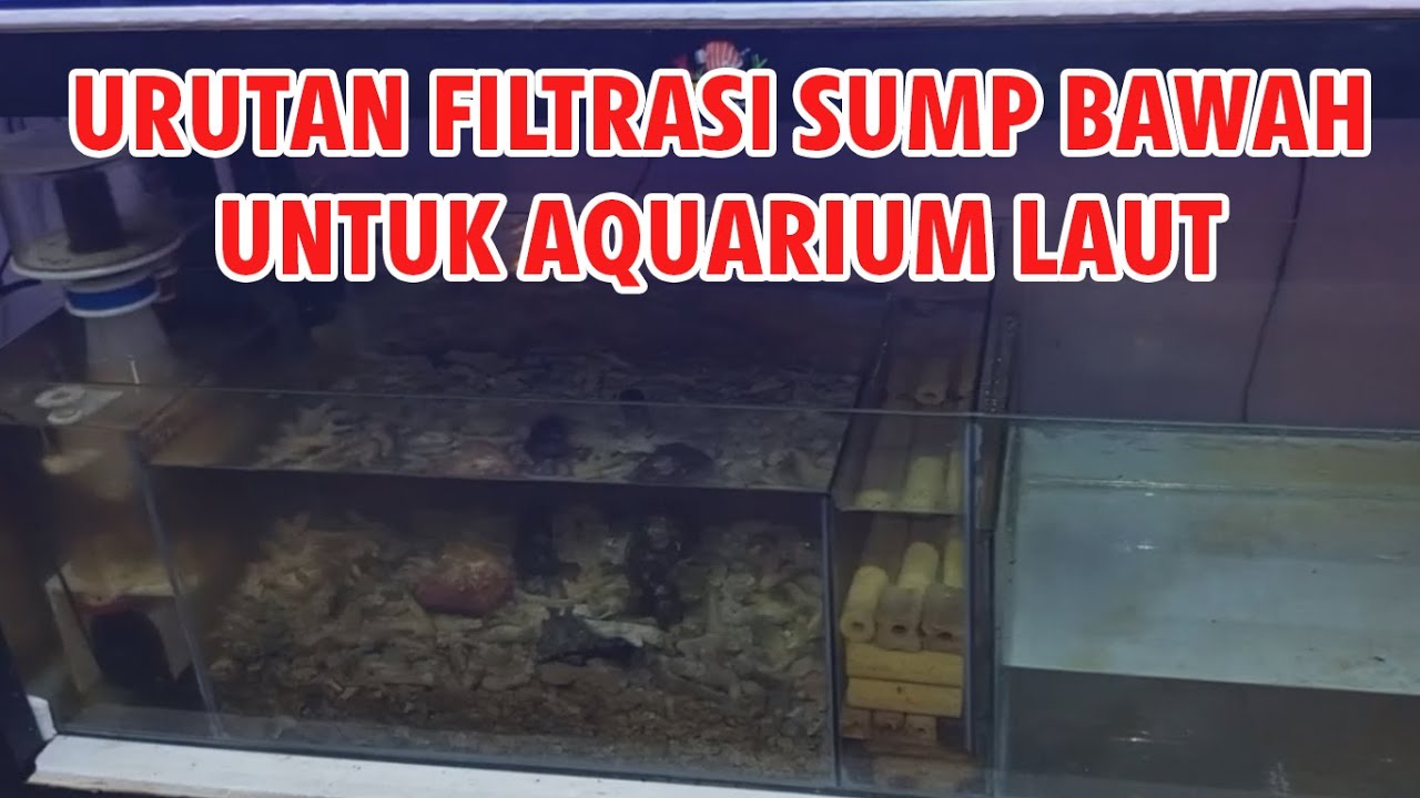 FILTRASI AQUARIUM LAUT MENGGUNAKAN SUMP BAWAH
