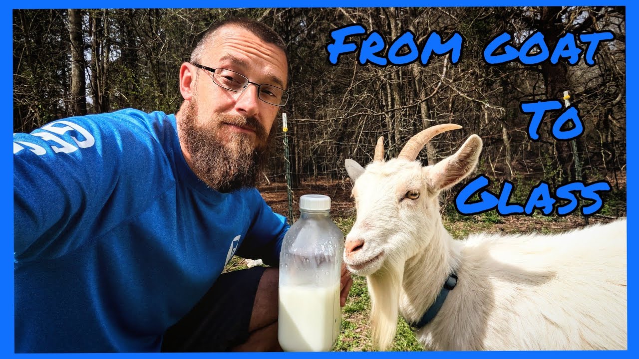 From Goat to Glass: Another step in self-sufficient living!
