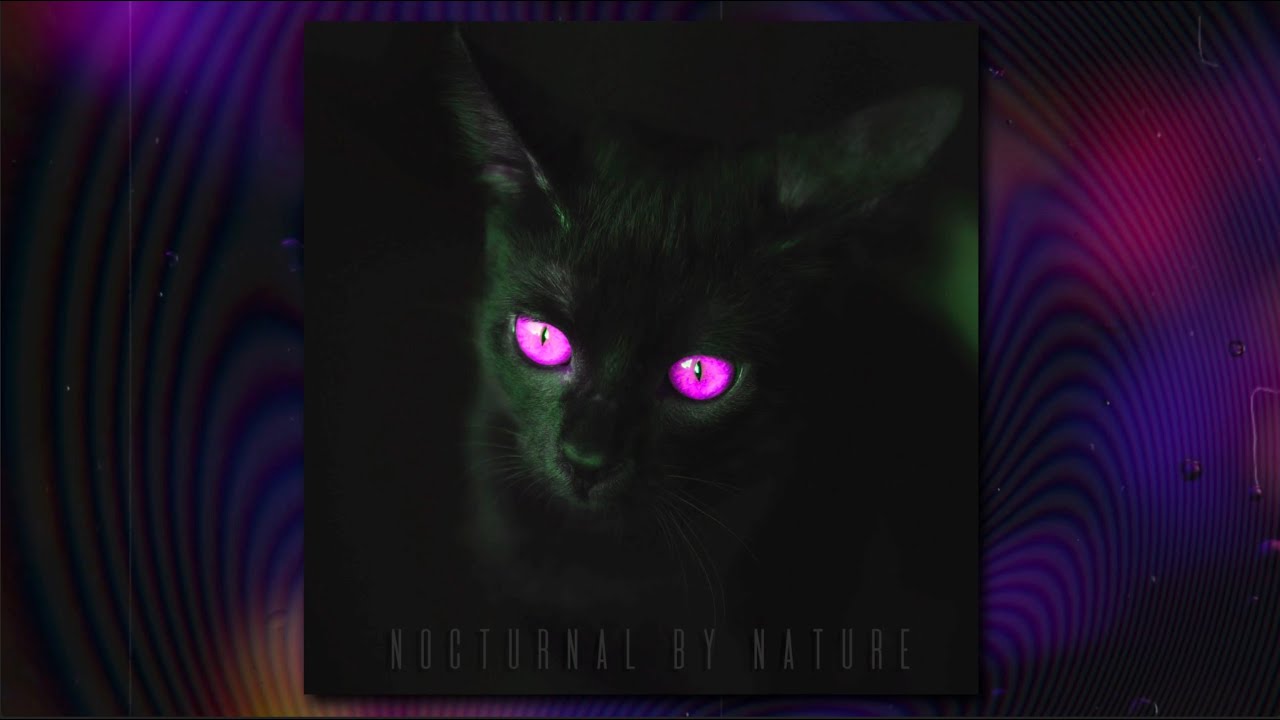 Dark Cinematic x Hip Hop Hybrid Type Beat | SOLITARY