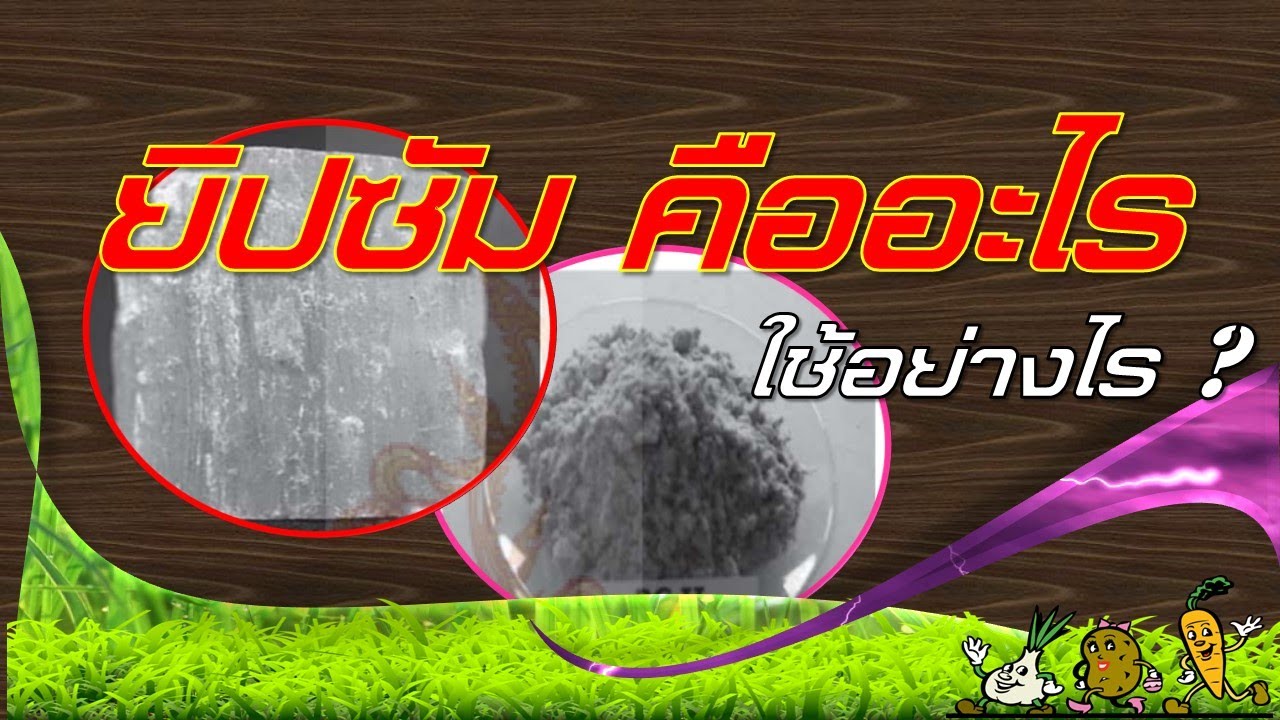 ยิปซัมเพื่อการเกษตรดีไหม ดินกรด-ด่าง เหมาะหรือไม่ (ยิปซัมปรับปรุงดิน)