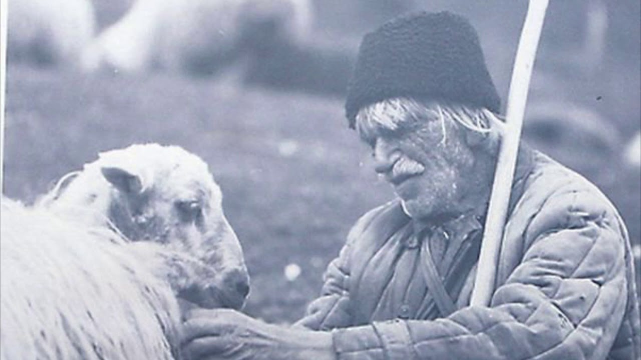 Miorita, poezie populara culeasa de Vasile  Alecsandri