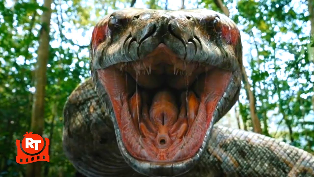 Anaconda: Cursed Jungle (2024) - Diabolical Snake Trap! (10/11) | Movieclips