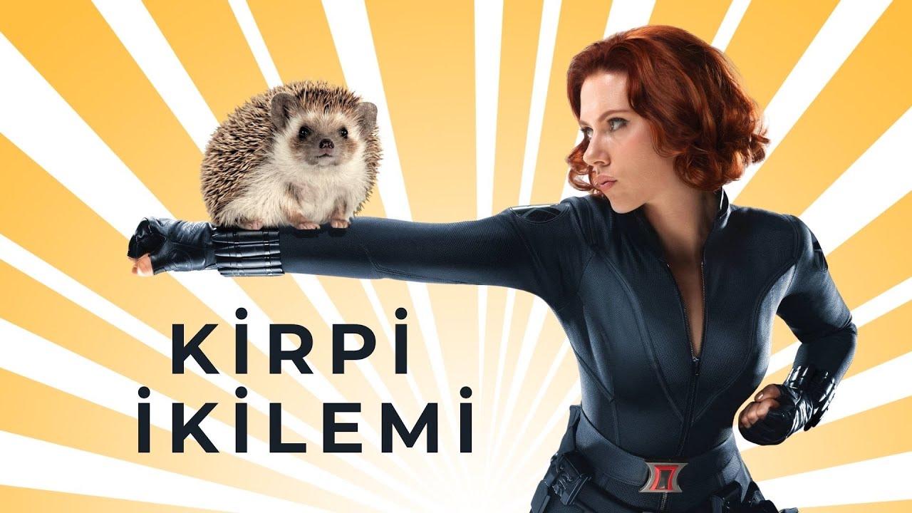 Sevgililer, Kirpi İkilemine Neden Yakalanır? Yaklaşmanın Bedeli, Kimler Kirpi İkilemine yakalanır?