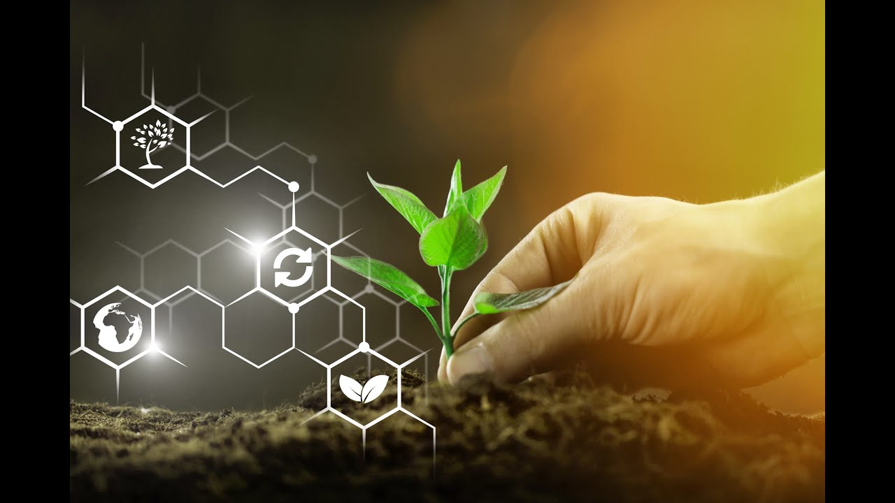 Brown Biotechnology: Advancing Sustainability and Environmental Solutions (5 Minutes Microlearning)