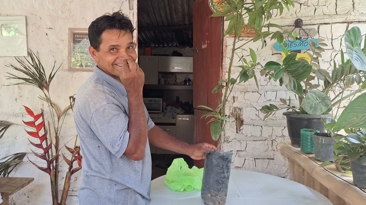 Ganhamos um per de canela +Preparando as mistura da cemana e fazendo o banco na frente da 🏠 