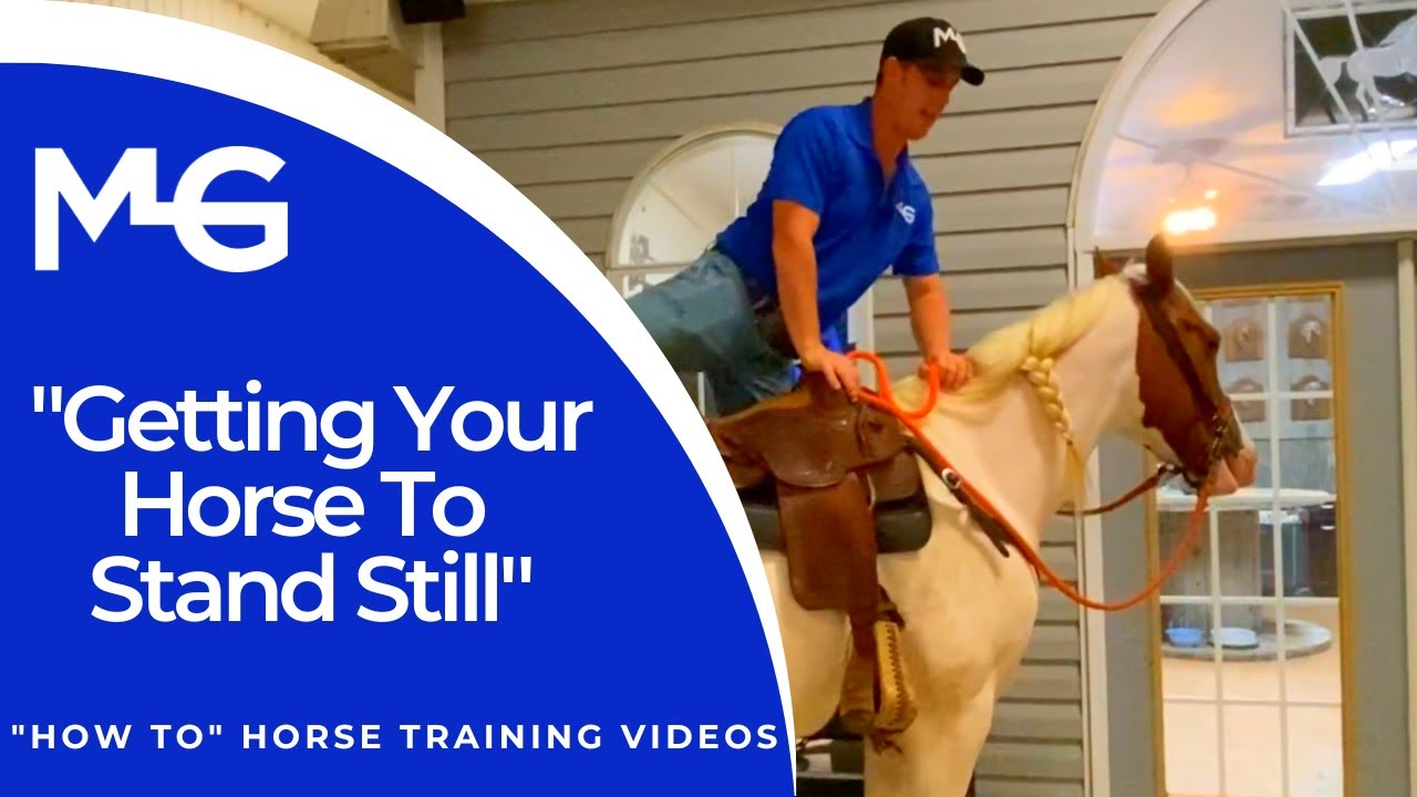 Getting Your Horse To Stand Still | The Horse Guru - Michael Gascon