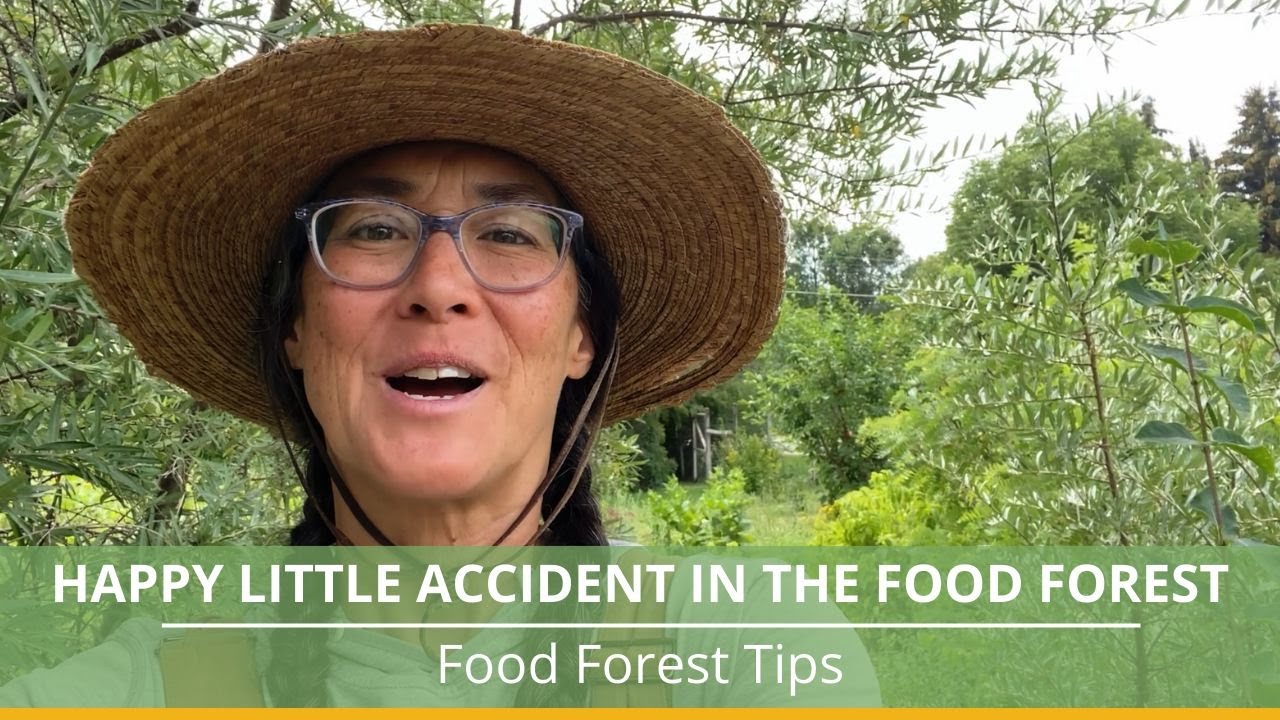 Happy Little Accident in the Food Forest!