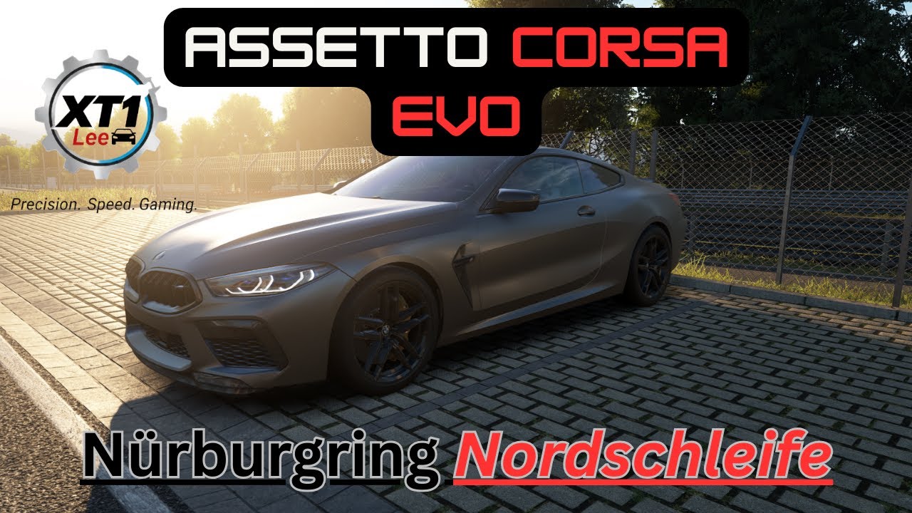 Assetto Corsa Evo // Multiplayer Nordschleife // Practice // Logitech G29 2026