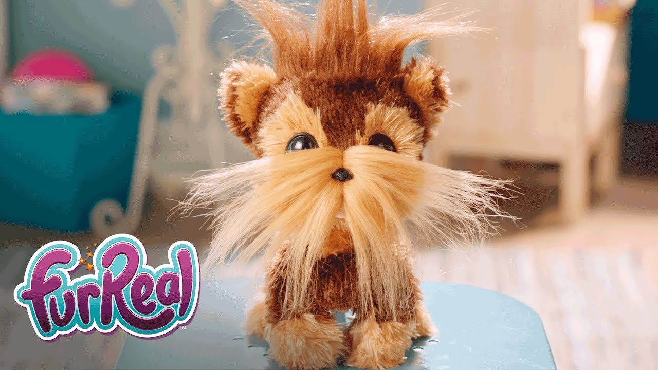 FurReal Friends - 'Shaggy Shawn&rsquo; Official TV Commercial