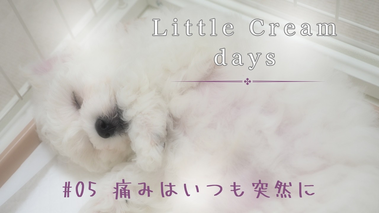 クリームデイズ｜#05　痛みはいつも突然に