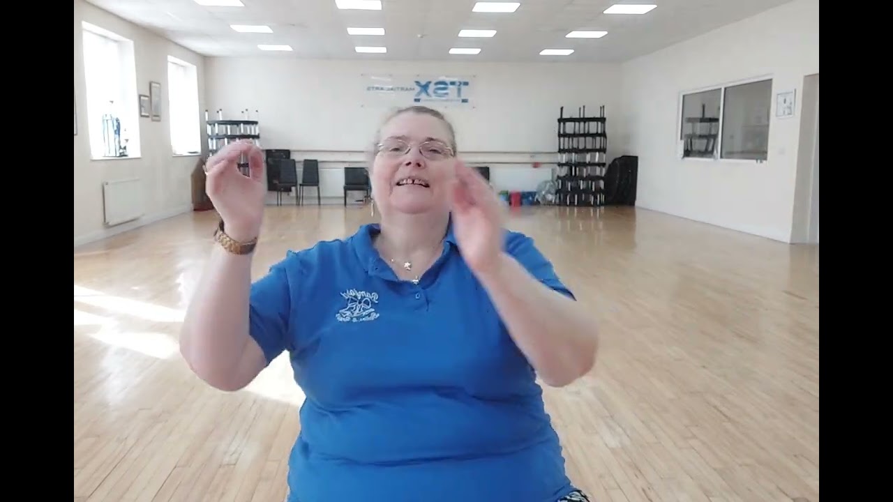 Zoo2 - seated demonstration