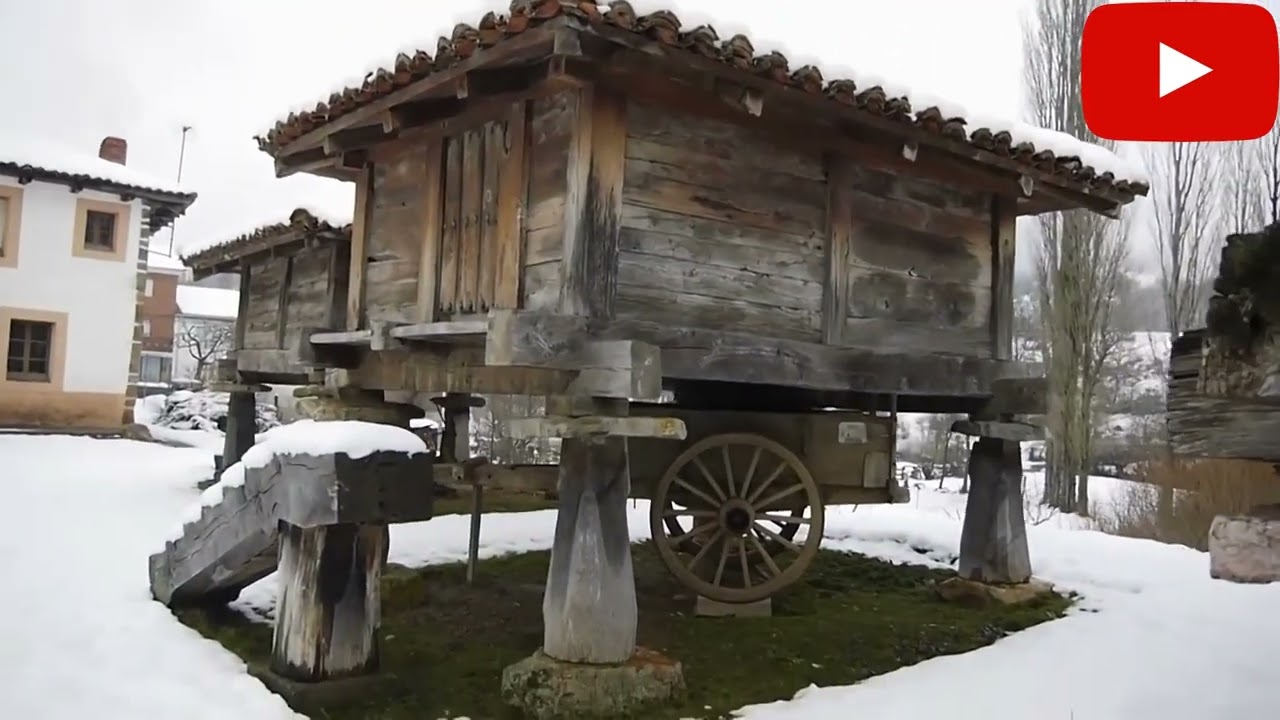 Li Kwan Pointtero Prioro León España