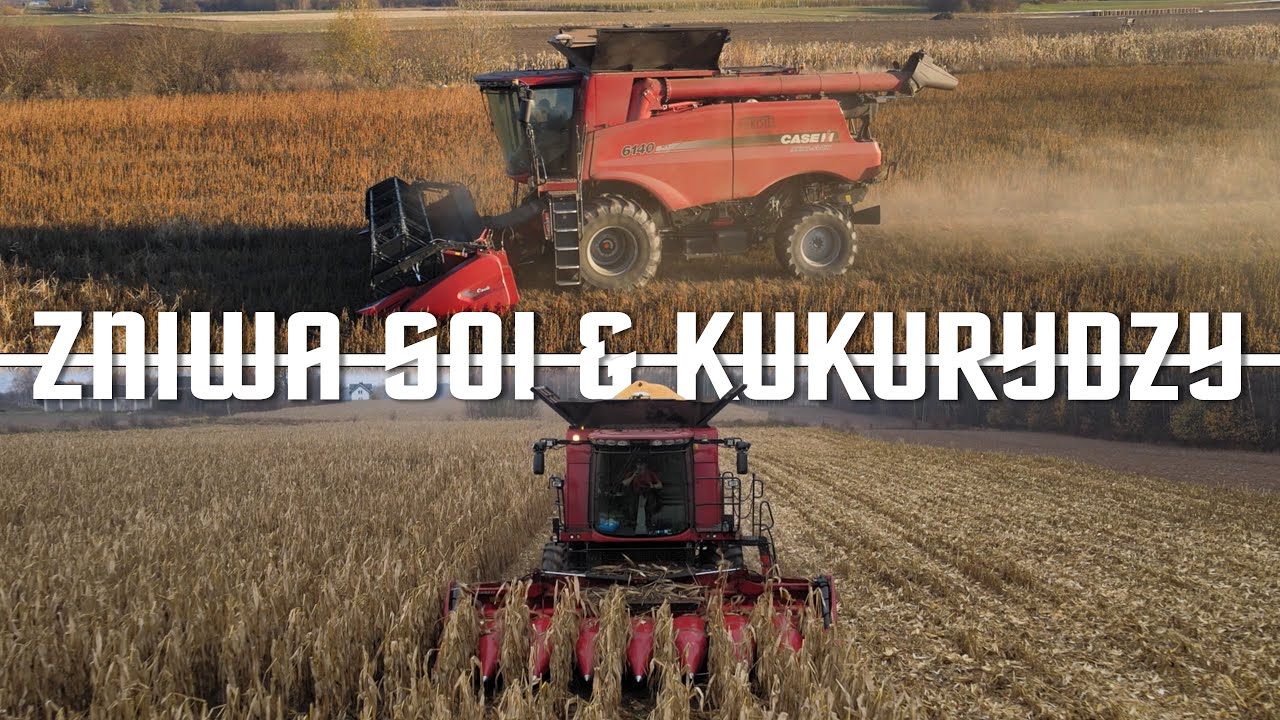 Oporowe żniwa😎 CASE IH&NEW HOLLAND w akcji👌