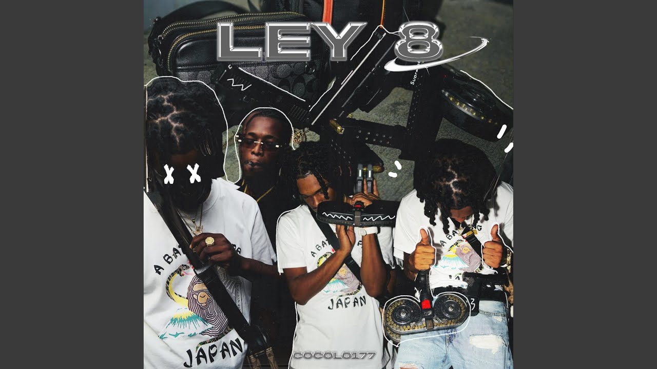 LEY 8