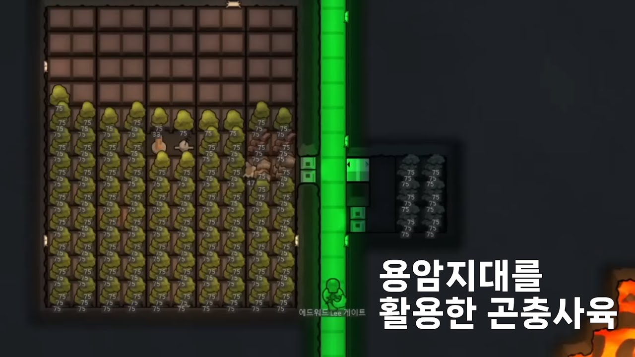 용암지대를 활용한 곤충사육