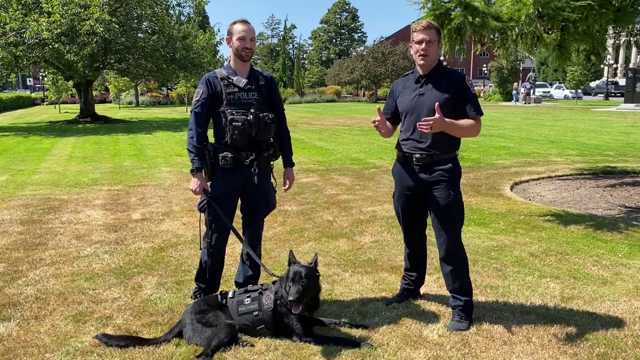 VicPD K9 PSD “Jonny” Tracks And Arrests Suspect In Mischief