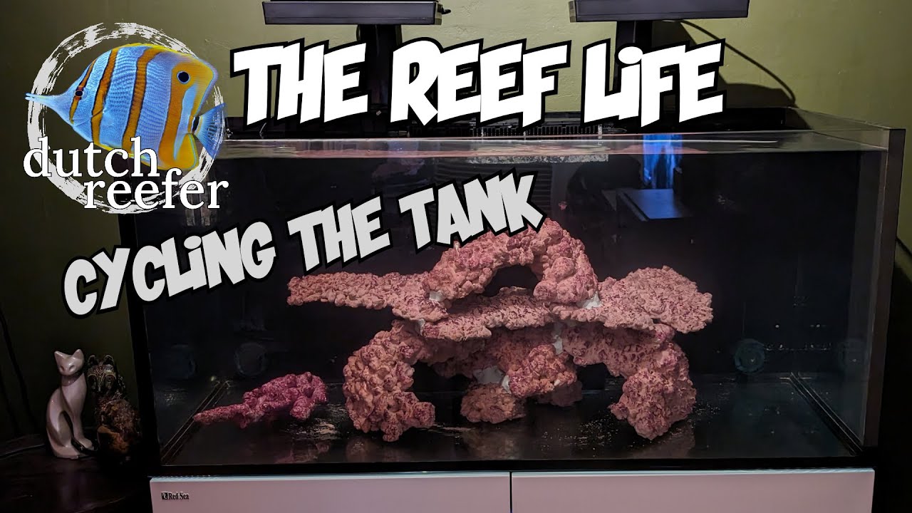 THE REEF LIFE is CYCLING!