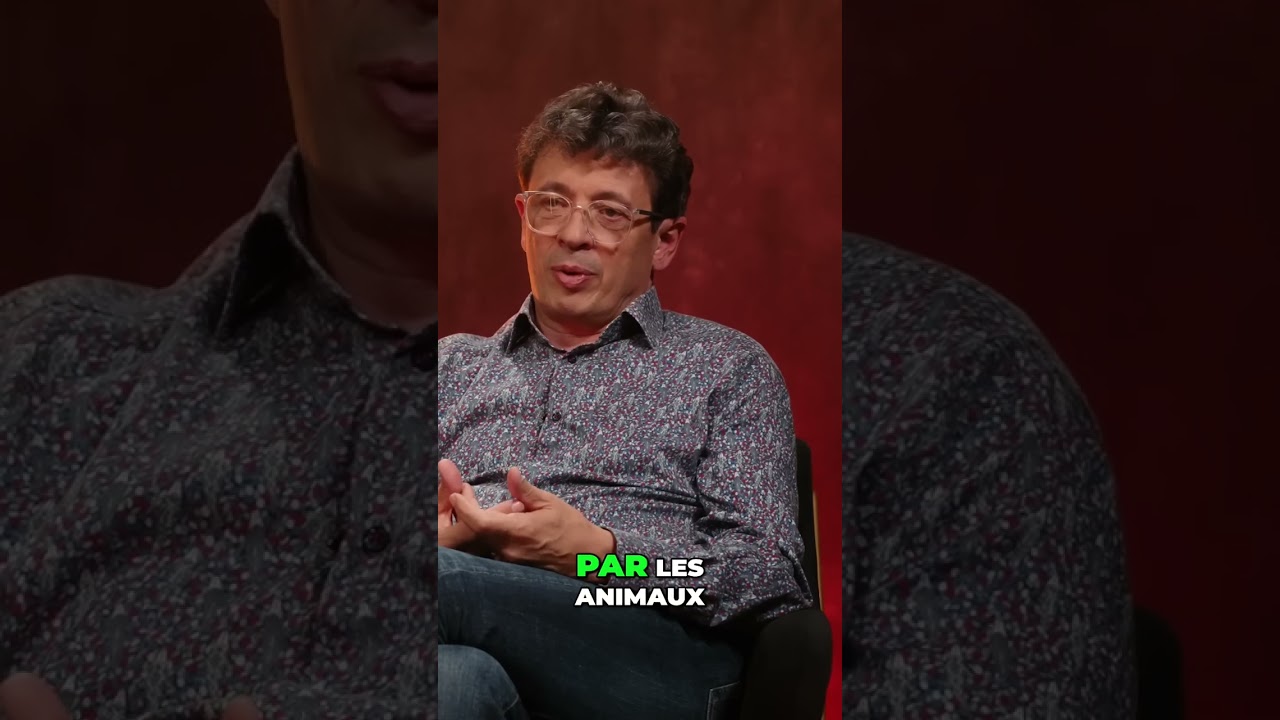 Psychopathes: De la cruaut&eacute; animale aux humains