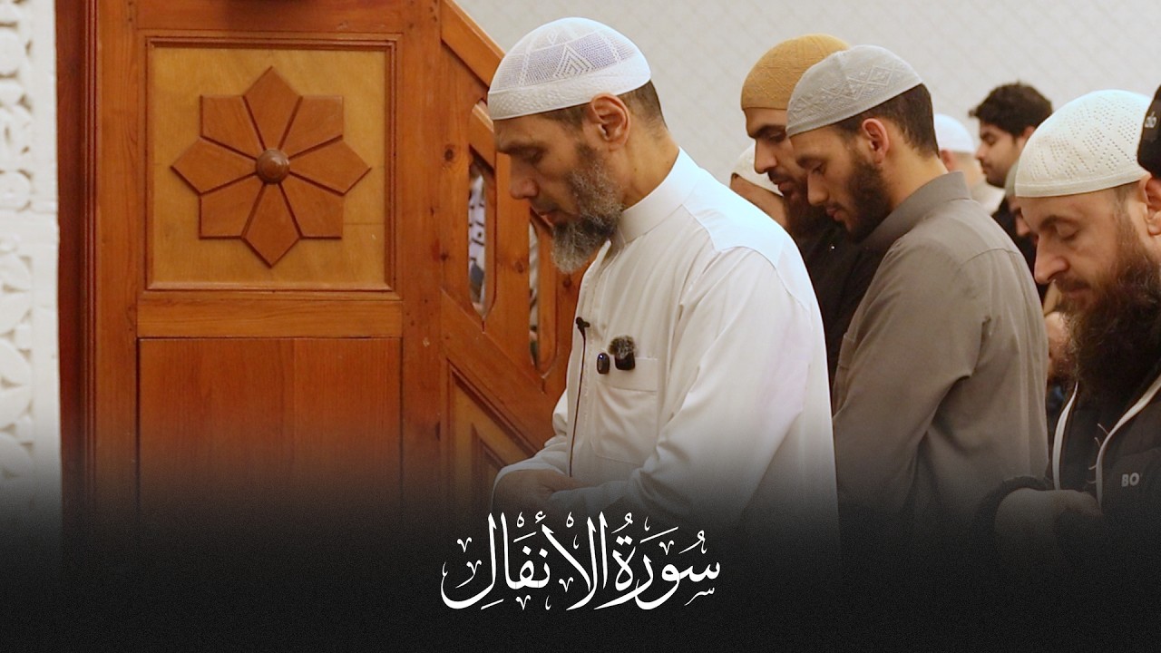 الشيخ محمد كليب ليله 12 رمضان - سورة الأنفال Al Anfal 1-44 | Sheikh Mohamed Koleib