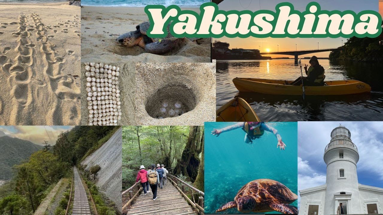 4days Yakushima Trip.   Yakushima, Japan's fifth largest island, is the closest to God and nature.