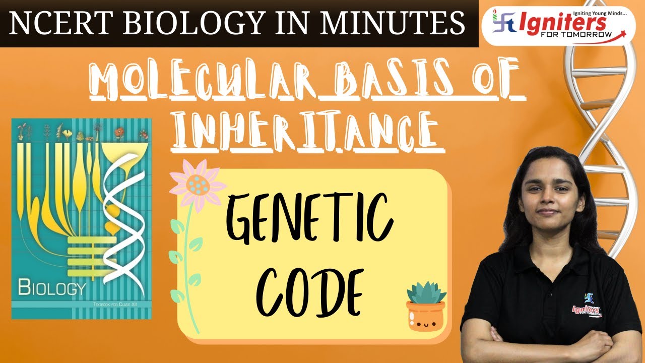 Genetic Code | Molecular Basis of Inheritance | NCERT Biology in Minutes |Class 12 & NEET