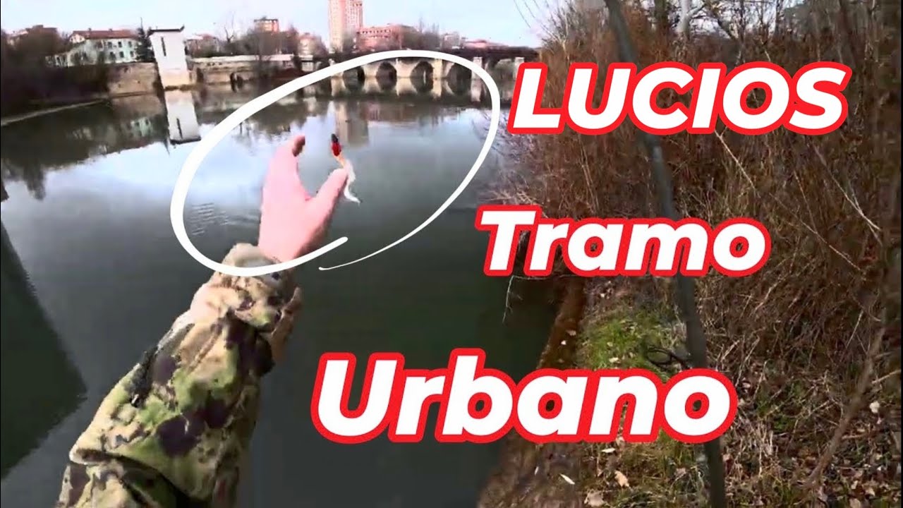 Pescando lucios en el tramo urbano de Valladolid.