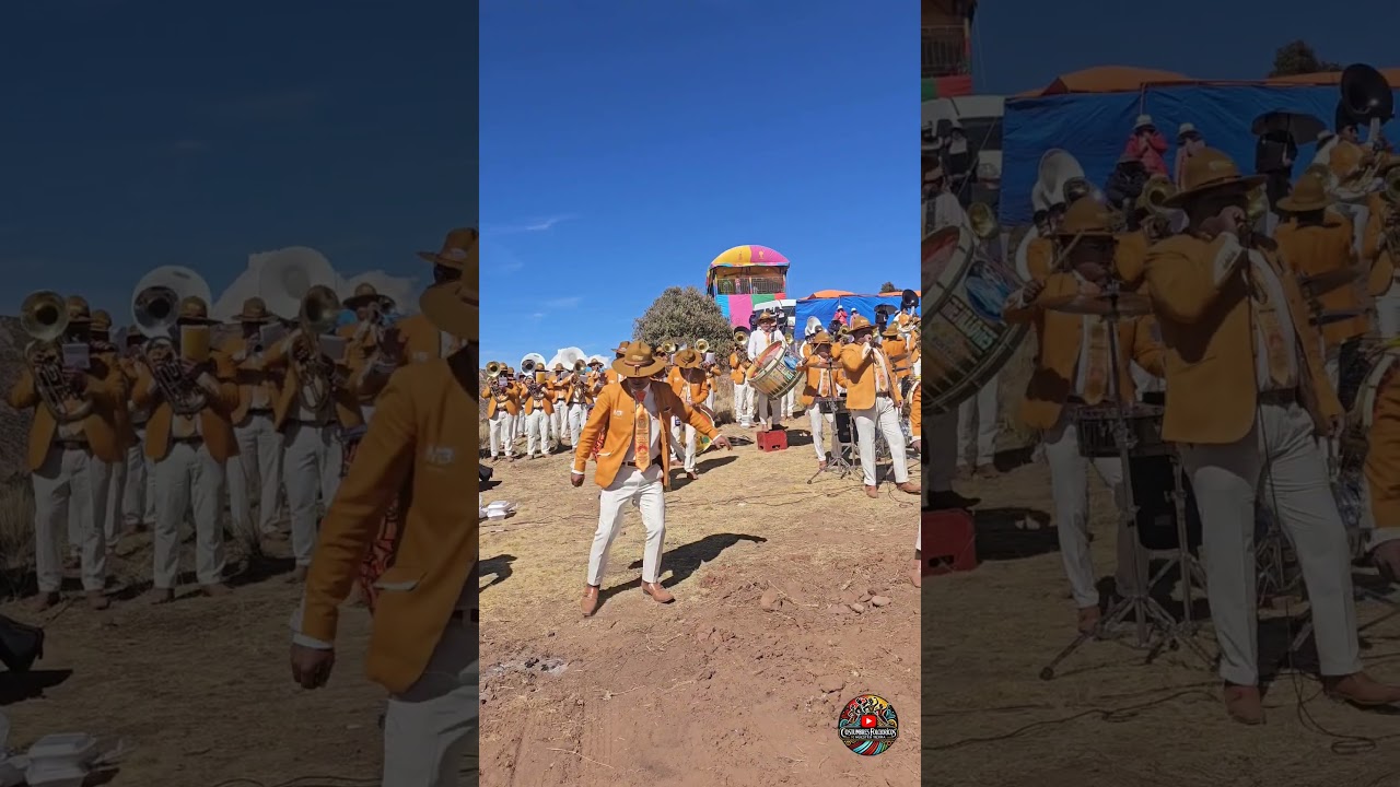 #zepita #puno #bandasdemusica #kotapata #suscribetealcanal #denlelike #siguemeentiktok