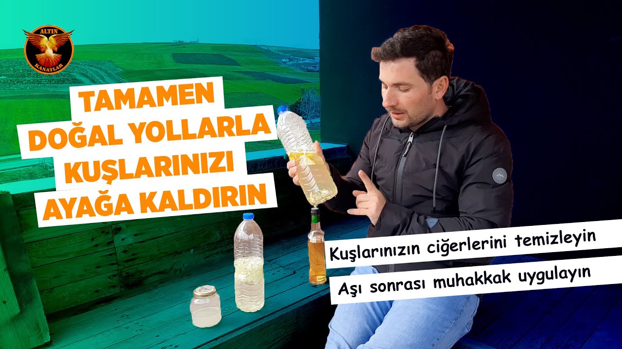 Güvercin için doğal bakım / Güvercin ve Bakım / ALTIN KANATLAR