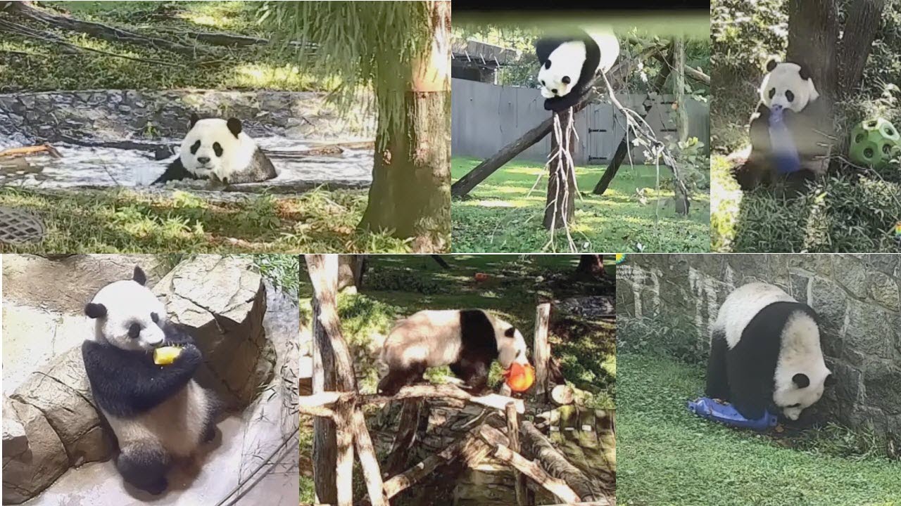 2023-08-23 Xiao Qi Ji: Splish-Splash & the Blue Bottle Bash!