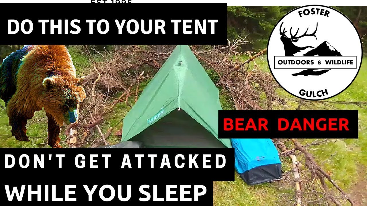 Multiple Bear Attacks in July 2017: How to Defend Yourself From Backcountry Grizzlies & Black Bears