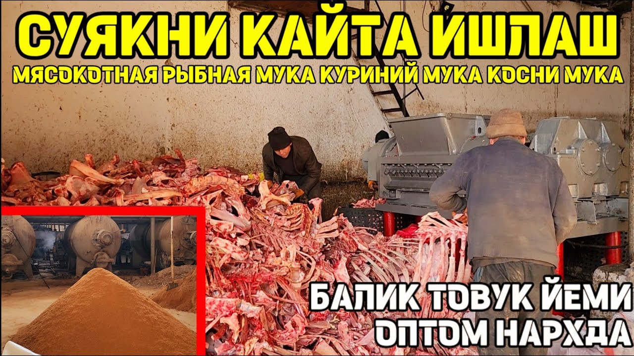 SUYAKNI QAYTA ISHLASH ZAVODI. МЯСОКОТНАЯ РЫБНАЯ МУКА КУРИНИЙ МУКА КОСНИ МУКА ОПТОМ НАРХДА.