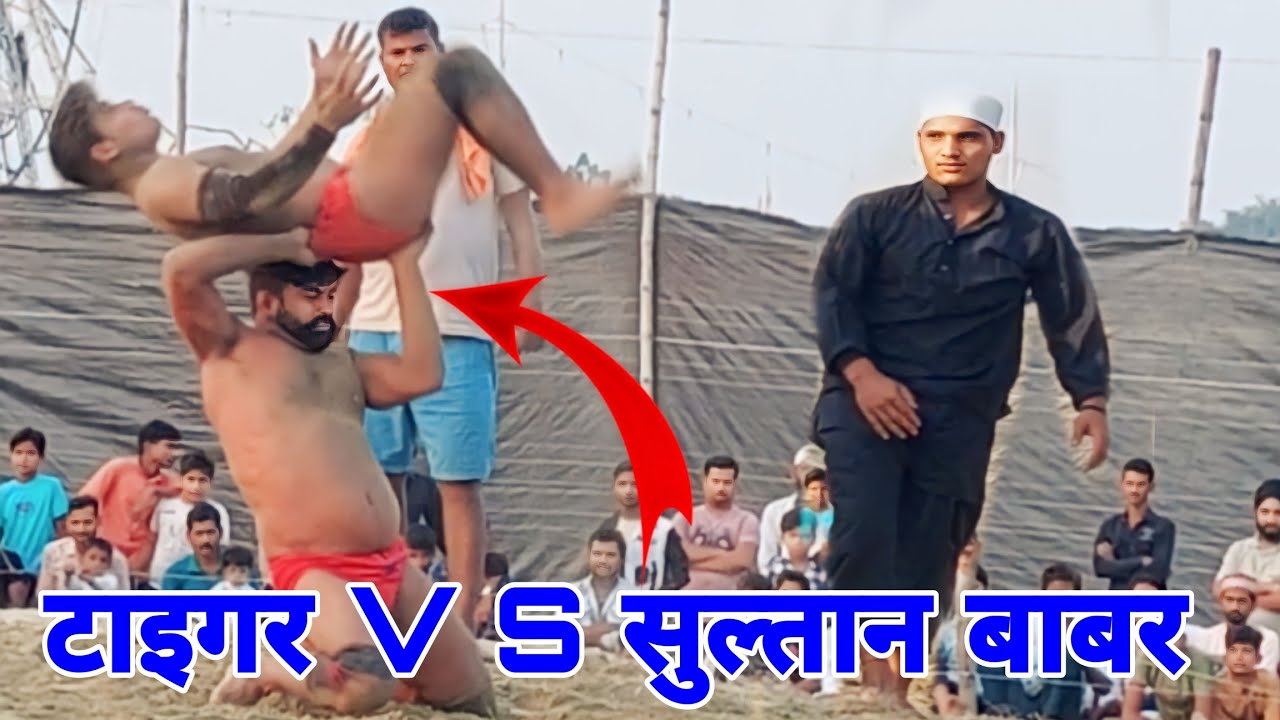 टाइगर V S सुल्तान बाबर बड़ा ही खतरनाक मुकाबला दोनों के बीच अखाड़े में आ गया तूफान Sultan Babar👍👍👍