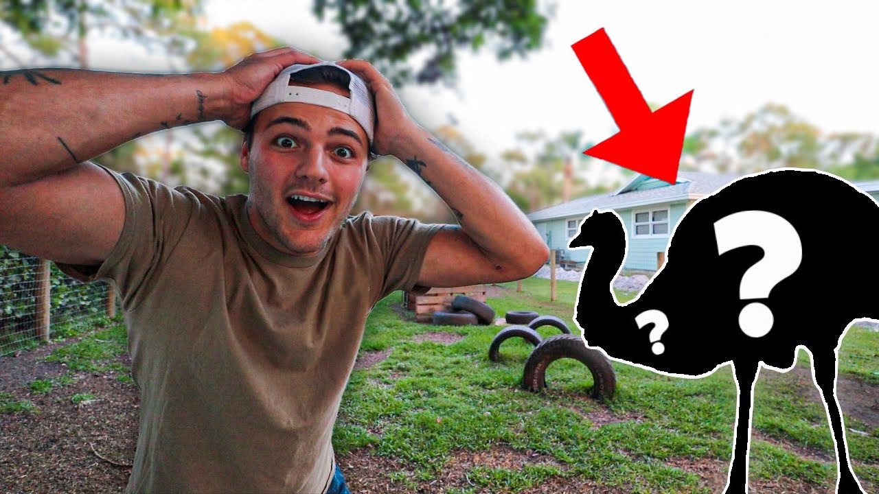 Finally BUYING My DREAM ANIMALS for BackYard FARM!!