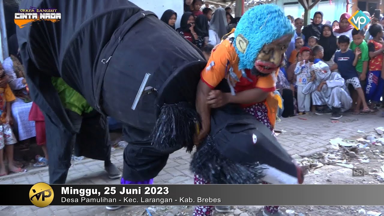 KUDA TARUNG LAWAN CICILIMIT ~ BUROK DANGDUT CINTA NADA BUDAYA SHOW PAMULIHAN 25/06/2023