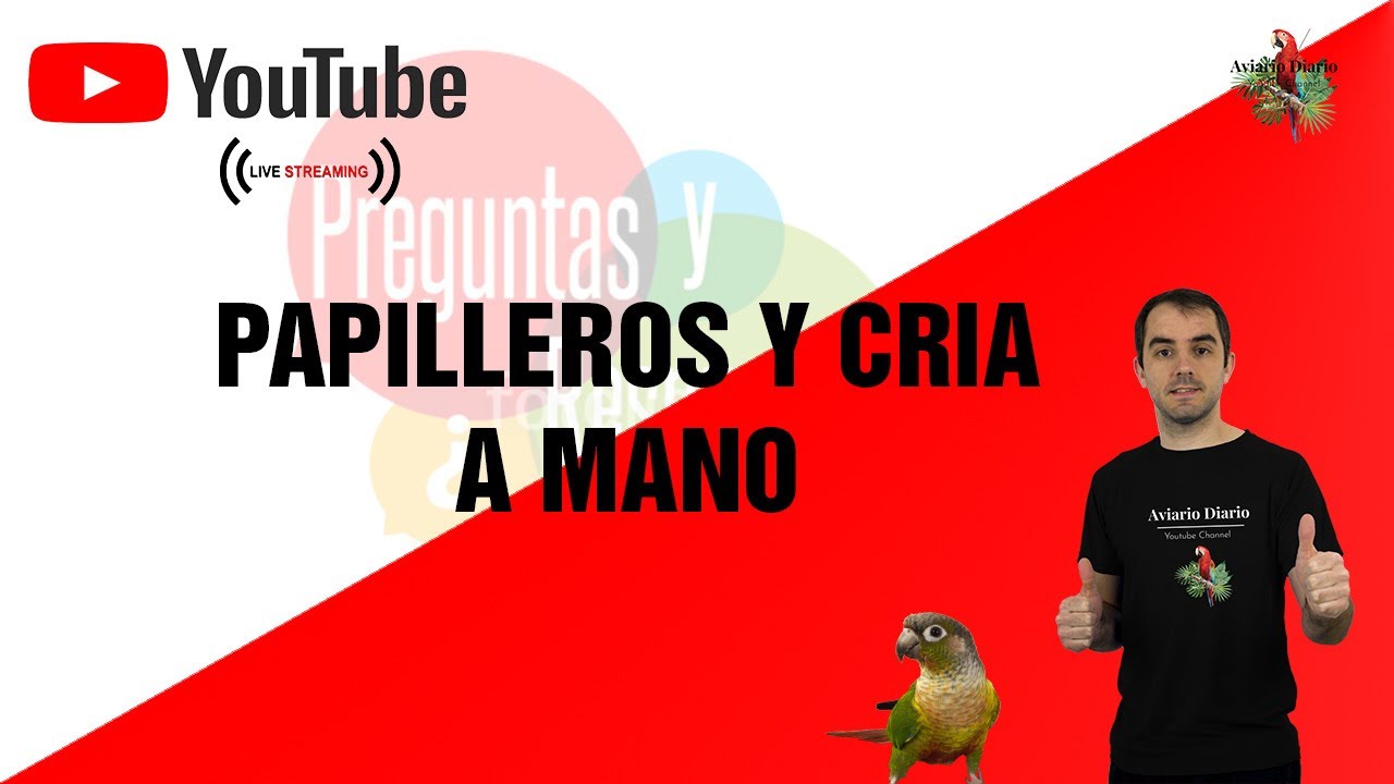 Directo A.D. - Papilleros y cria a mano