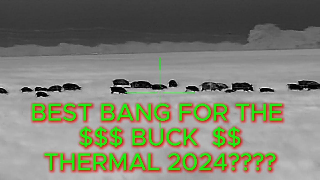 BEST BANG FOR YOUR BUCK THERMAL 2024