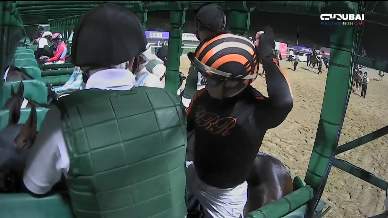 #DubaiWorldCup #DWC25 مباشر تغطية متكاملة من قنوات تلفزيون دبي لنقل سباق كأس دبي العالمي