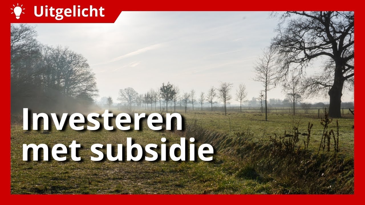 Uitgelicht | Duurzaam investeren met hulp van subsidie