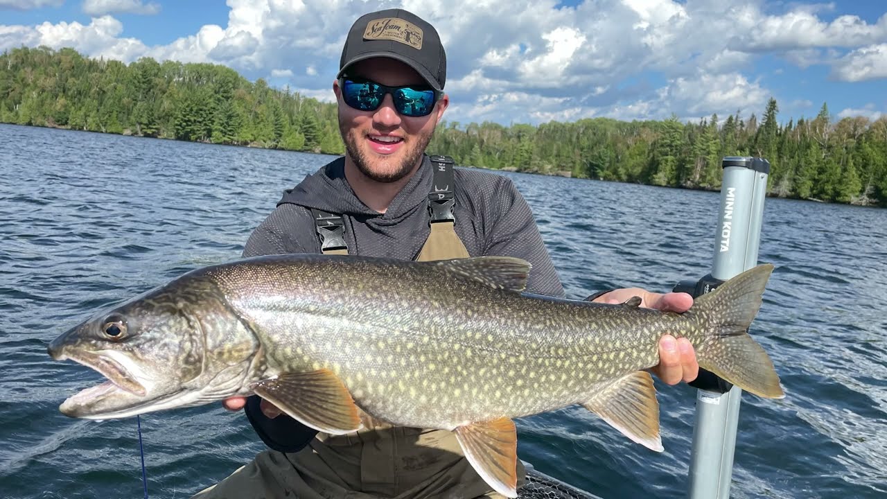 Полное руководство по канадской многовидовой приманке (издание Pipestone Lake)