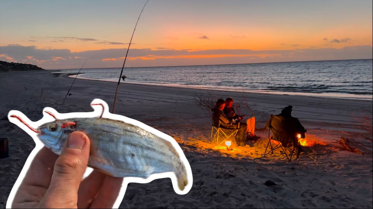 Beach fishing the YORKES with BIG BAITS!!