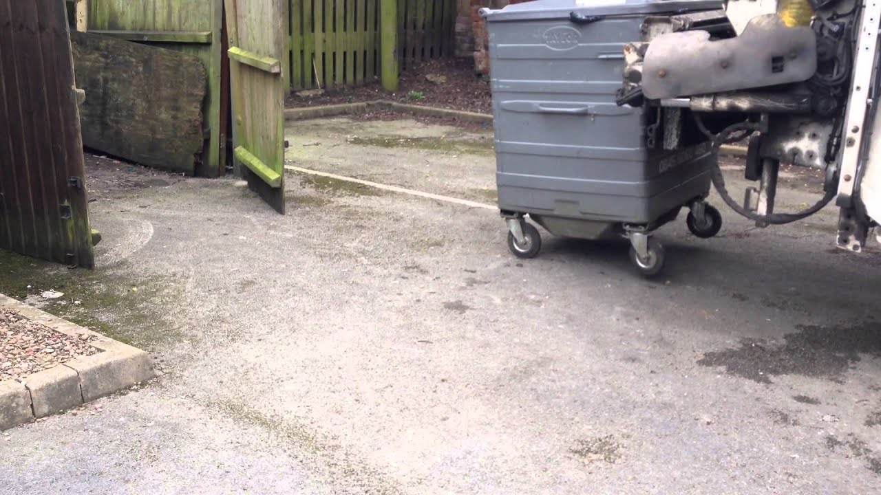 How many rats come out that bin
