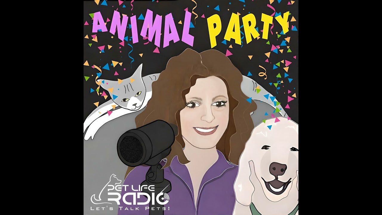 Animal Party Episode 250 Husky in the Snow, Cat on the Balcony: Same Call… Different Story