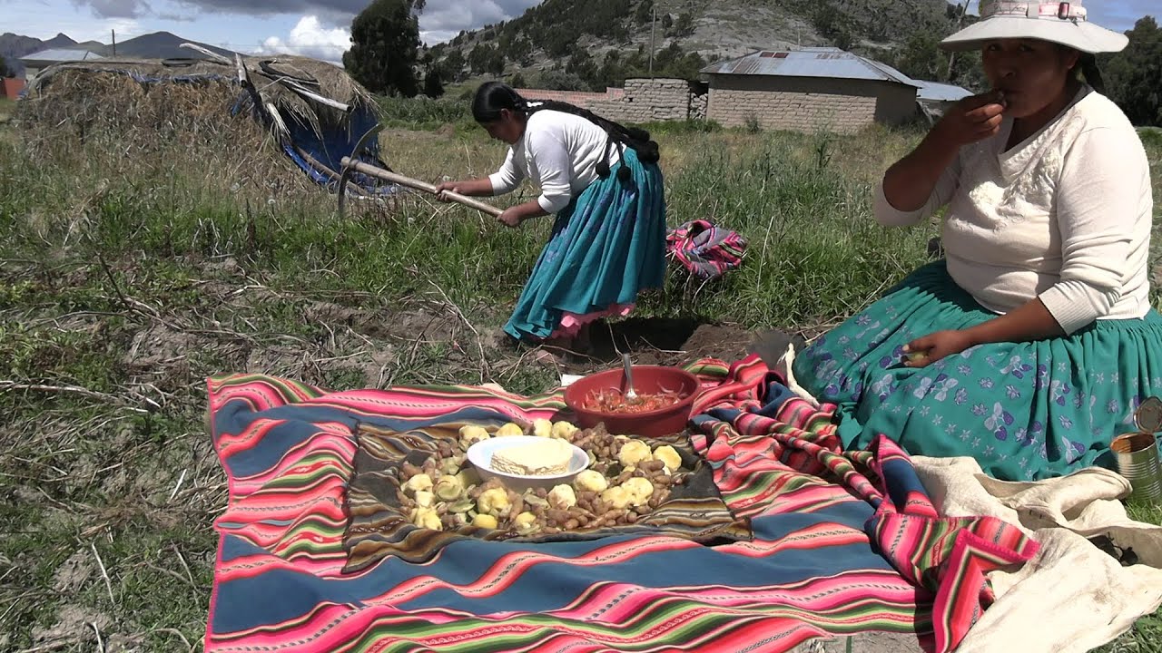 COSECHANDO PAPA EN EL CAMPO - COCINA CON MAMILA
