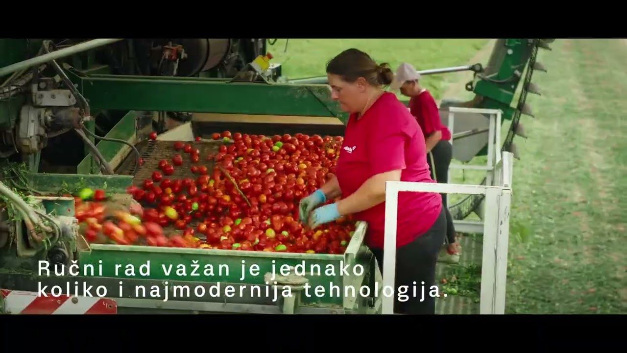 Podravka rajčica s hrvatskih polja
