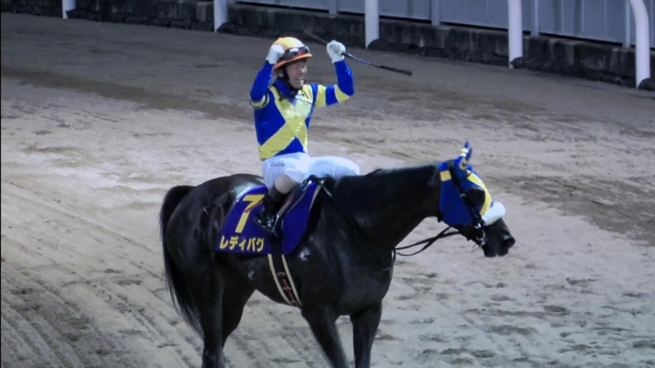 【スパーキングレディーカップ2023】 酒井学の笑顔が眩しい‼ 全頭パドック～本馬場入場～ウィンニングラン 現地映像 レディバグ