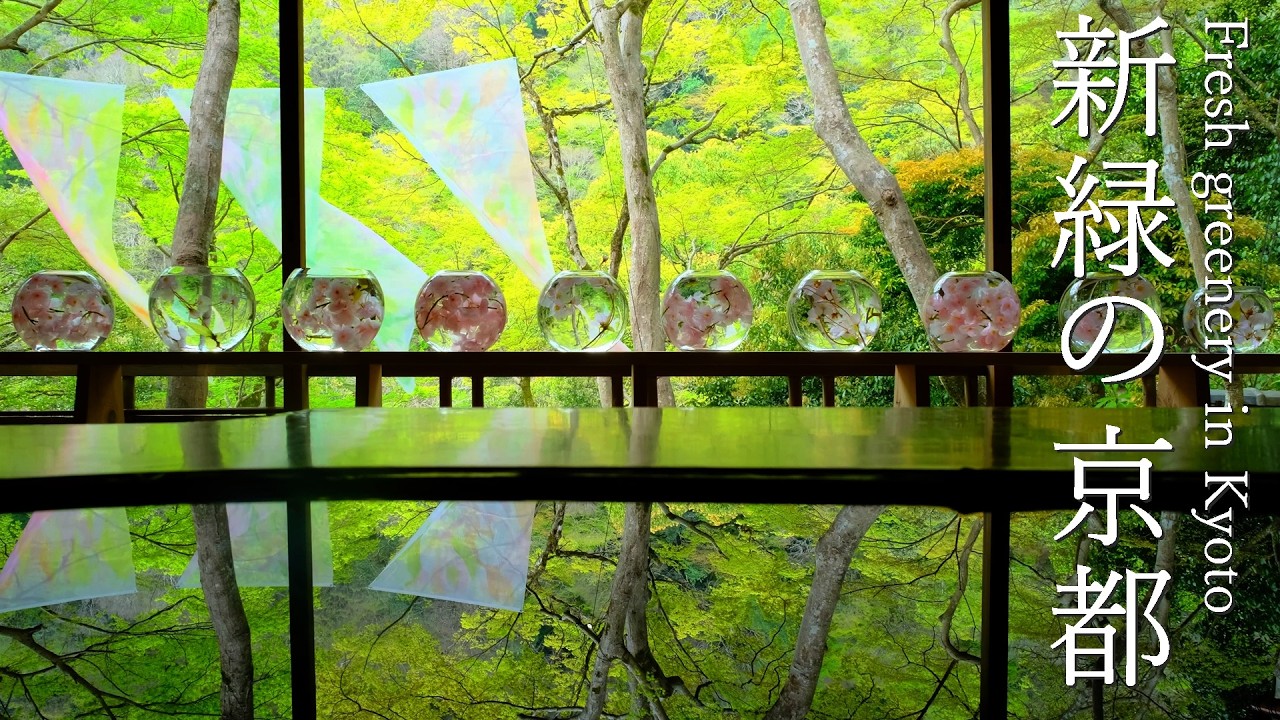 【京都 緑の絶景】　新緑が一番きれいな季節に癒される