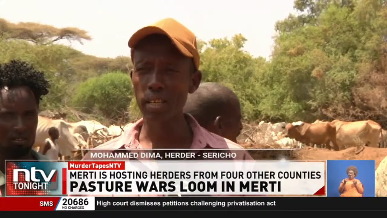 Isiolo: Failed rains for 2 consecutive seasons leaves communities struggling to sustain their herds