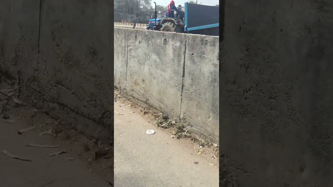डाला के बारे में