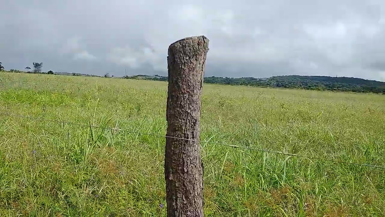 qual a profundidade do buraco da estaca e a altura da estaca para criação de gado